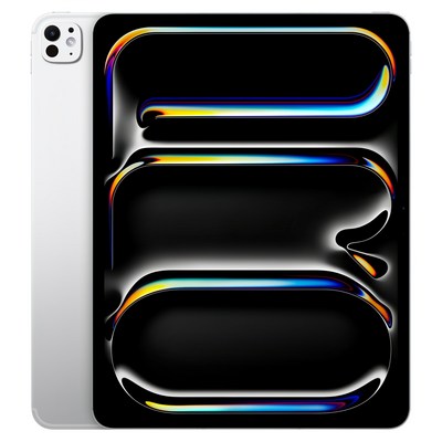 APPLE  2024 iPad Pro 11 M4 Cellular 중고