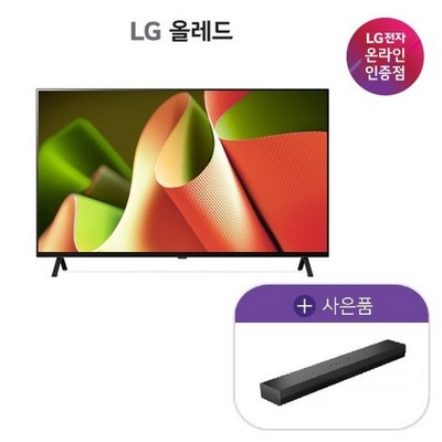LG전자 올레드 OLED65B4FNA